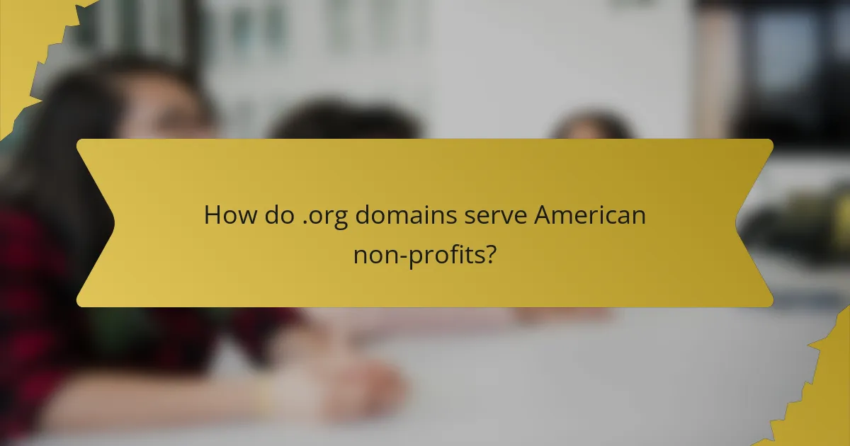 How do .org domains serve American non-profits?
