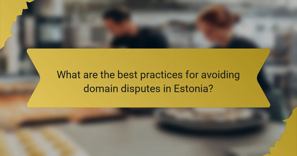 What are the best practices for avoiding domain disputes in Estonia?