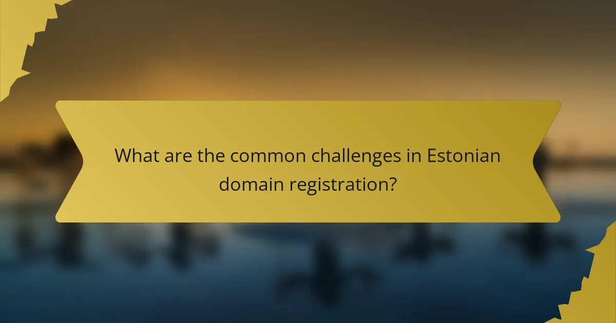 What are the common challenges in Estonian domain registration?