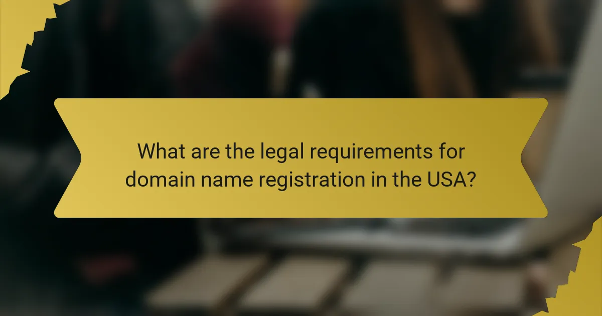 What are the legal requirements for domain name registration in the USA?