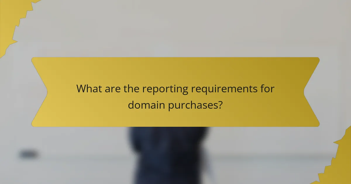 What are the reporting requirements for domain purchases?