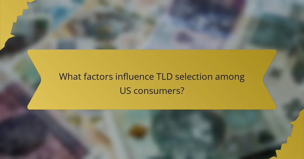What factors influence TLD selection among US consumers?