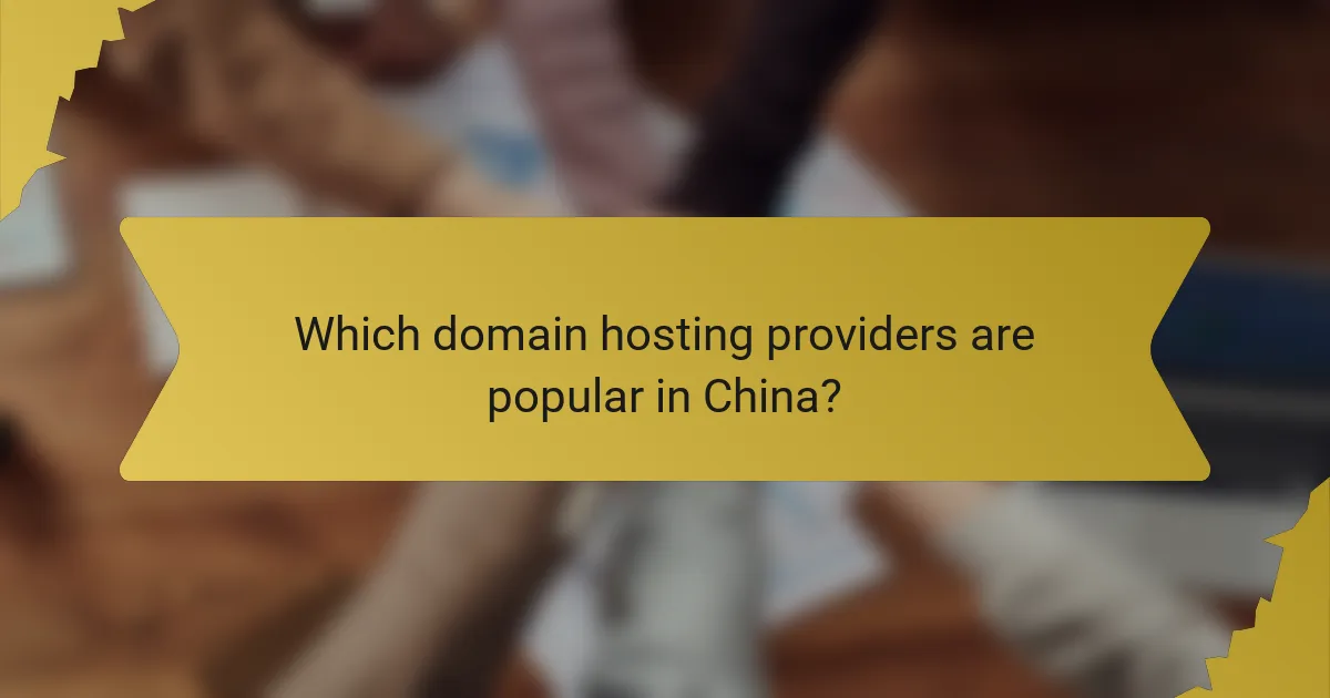 Which domain hosting providers are popular in China?